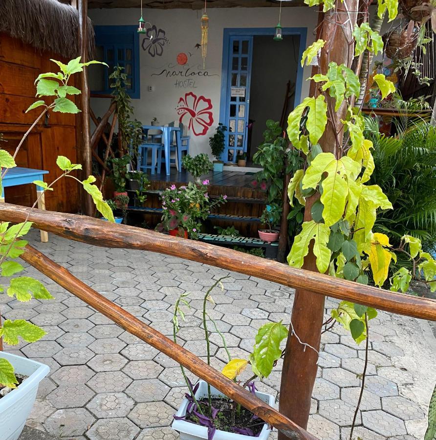 Aurora Hostel Praia de Pipa Экстерьер фото